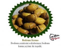 Bodrum Zeytini