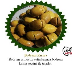 Bodrum Zeytini