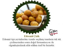 Edremit Çizik Zeytin