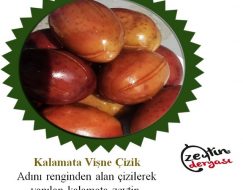 Kalamata Vişne Çizik Zeytin