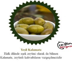 Muğla Milas Yeşil Kalamata Meşhur Zeytin