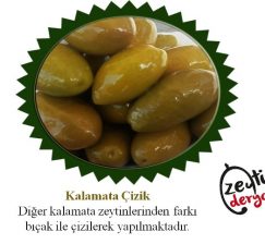 Kalamata Zeytin (Eşek Zeytini)