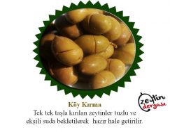 Milas Köy Kırma Zeytin