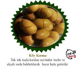 Milas Köy Kırma Zeytin