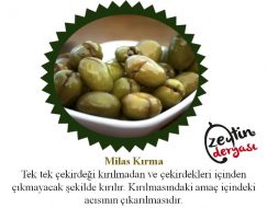 Muğla Milas Kırılmış Yeşil Zeytin