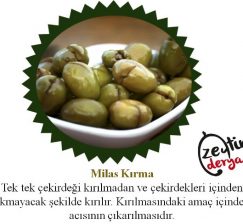 Muğla Milas Kırılmış Yeşil Zeytin