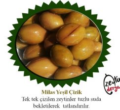 Milas Yeşil Çizik Zeytin