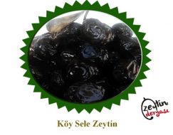 Muğla Köy Sele Zeytini