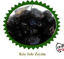 Muğla Köy Sele Zeytini