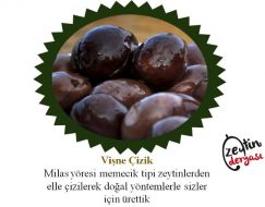 Milas Yağlı Zeytin Vişne Çizik(Siyah)