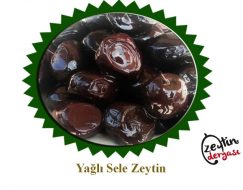 Sele Zeytini Yağlı