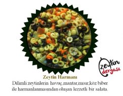 Zeytin Harmanı (1000 Gr)