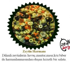 Zeytin Harmanı (1000 Gr)